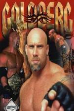 WWE Bill Goldberg The Streak