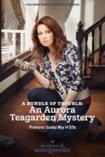 A Bundle of Trouble: An Aurora Teagarden Mystery