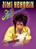 Jimi Hendrix: Feedback