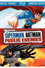 Superman/Batman: Public Enemies