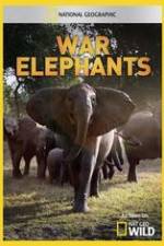 War Elephants