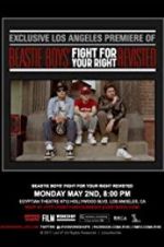 Beastie Boys: Fight for Your Right Revisited