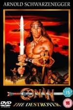 Conan the Destroyer