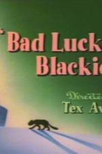 Bad Luck Blackie