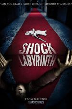 The Shock Labyrinth 3D