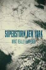 Superstorm New York: What Really Happened