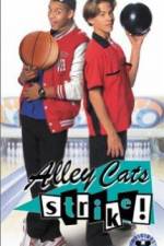 Alley Cats Strike