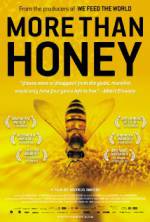 More Than Honey