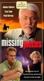 Missing Pieces