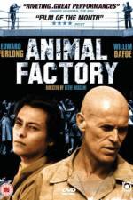 Animal Factory