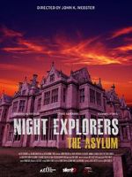 Night Explorers: The Asylum