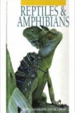 Reptiles and Amphibians