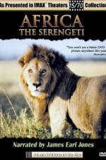 Africa The Serengeti