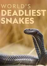 World's Deadliest Snakes