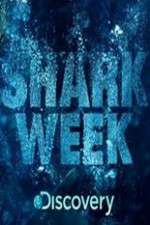 Shark Week