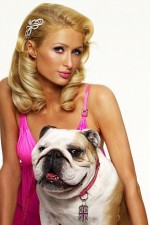 Paris Hilton's British Best Friend