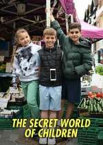 The Secret World of Children