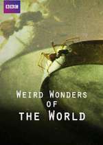 Weird Wonders of the World