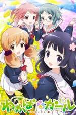 Wakaba Girl