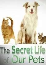 The Secret Life of Our Pets