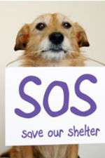 Save Our Shelter