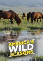 America's Wild Seasons