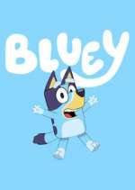 S3 E41 Bluey Season 3 Episode 41