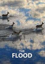 The Flood