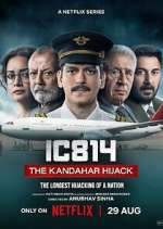 S1 E1 IC 814: The Kandahar Hijack Season 1 Episode 1