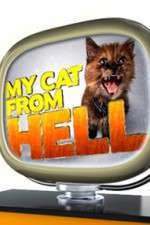 My Cat from Hell