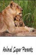 Animal Super Parents