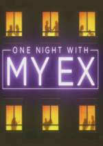 One Night with My Ex