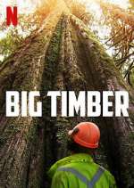 Big Timber