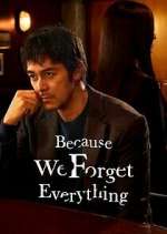 Because We Forget Everything