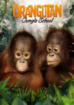 Orangutan Jungle School