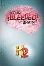 Your Bleeped Up Brain