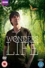 Wonders Of Life