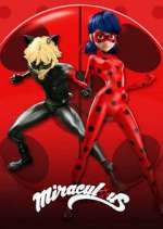 Miraculous LadyBug