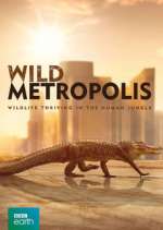 Wild Metropolis