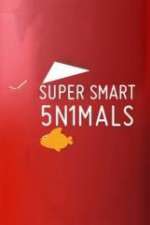 Super Smart Animals