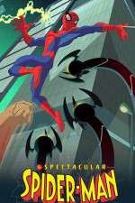 The Spectacular Spider-Man