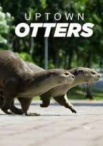 Uptown Otters