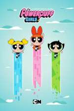 The Powerpuff Girls (2016)