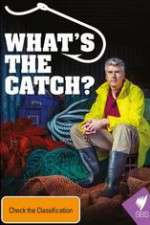 What's The Catch With Matthew Evans