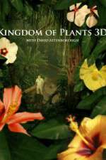 Kingdom of Plants 3D