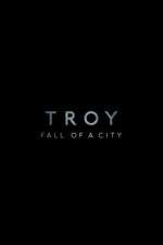 Troy: Fall of a City