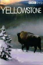 Yellowstone